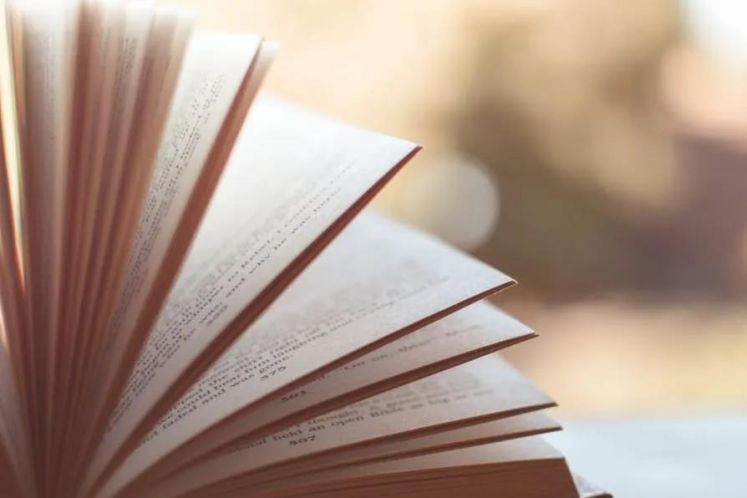 嚴偉坤:破產信息化手段運用的思考