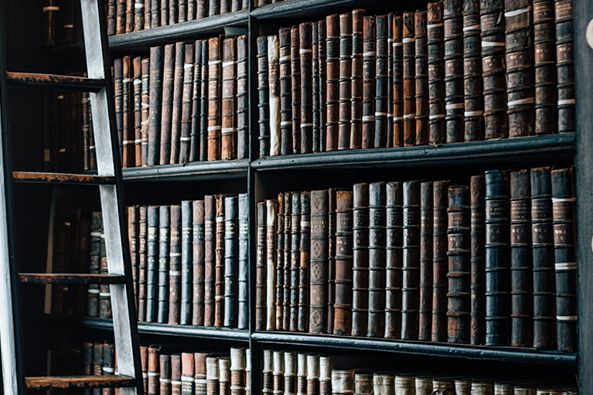 以案說法|執行案件中，能否追加一人有限公司的股東為被執行人？