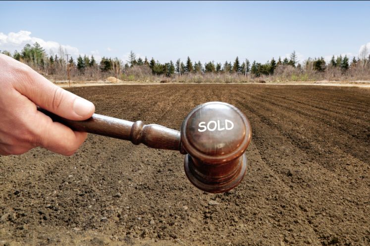 為什么大家都搶著買“法拍房”?