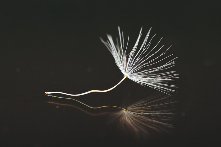 京東下沉之殤：連續虧損的京喜，該收縮嗎？