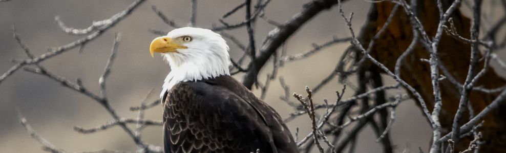 2020年催收怎么做?